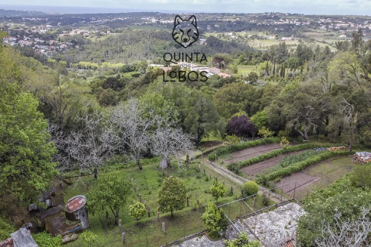 Quinta Dos Lobos Boutique Hotel - Nature Experience Sintra