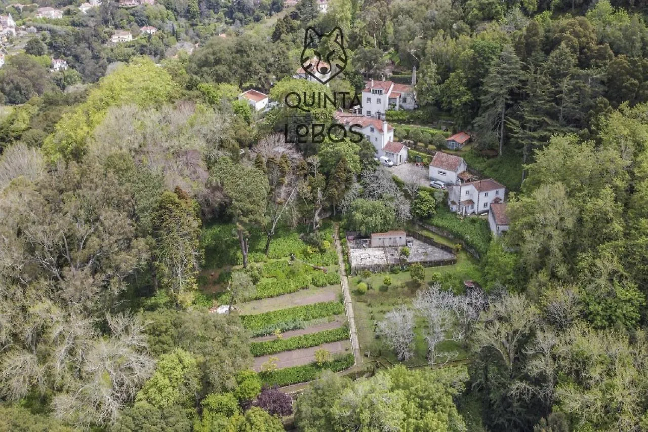 Quinta Dos Lobos Boutique Hotel - Nature Experience Sintra Portugal